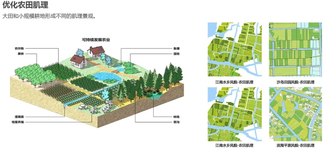 “内外兼修”：上海国际化大都市郊野地区风貌设计导则